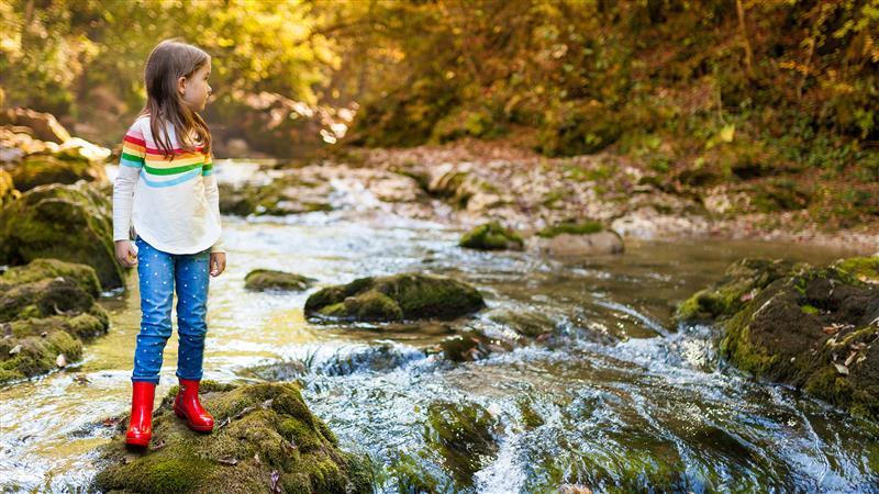 'Budget Highlights' background image