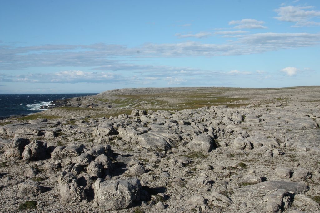 Proposed Cape Norman Ecological Reserve, showing limestone barrens with blue sky and ocean in the background