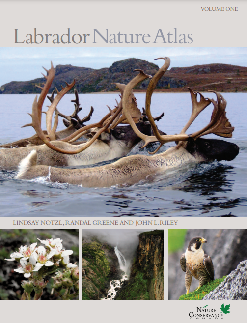The cover of the document 'Labrador Nature Atlas: Volume one'