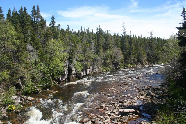 Doctor's Brook (Credit: Erika Pittman)