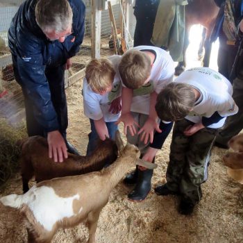 photos 2014 green thumbs photo4