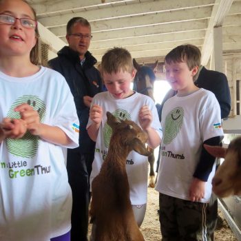 photos 2014 green thumbs photo6