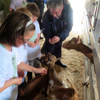 photos 2014 green thumbs photo9