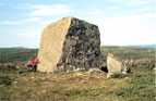 Glacial Erratic