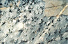 Schist