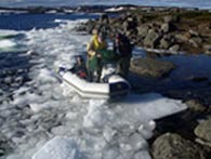 Preparing nets for sampling in Grand Lake.