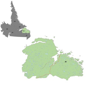 District 20: District 20 is situated on the east coast of Labrador.