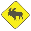 Moose Sign