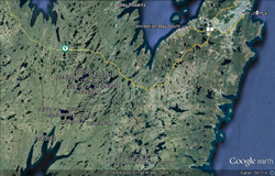 Katie Eagle Tracking October 2012