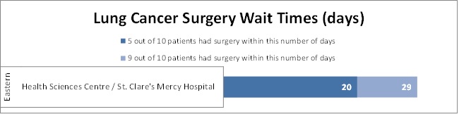Lung Cancer Surgery Wait Times