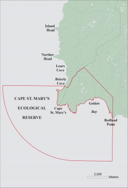 Cape St. Mary’s Ecological Reserve