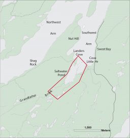 Saltwater Pond Sweet Bay