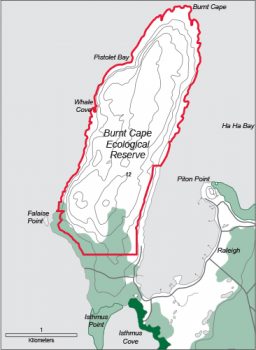 Burnt Cape Ecological Reserve