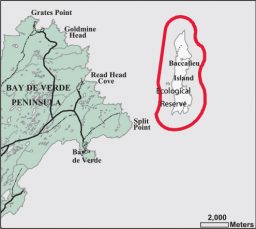 Baccalieu Island Ecological-reserve