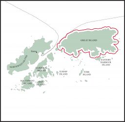 Snowshoe Hare Great Islands Ramea