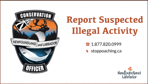 Report Suspected Illegal Activity 1.877.820.0999 stoppoaching.ca