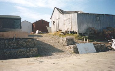 Figure 2. Looking northeasterly towards proposed whale watching site from Daniel's Cove.