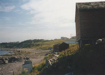 Figure 3. Road bed where black flake eroding out of road bed was located.