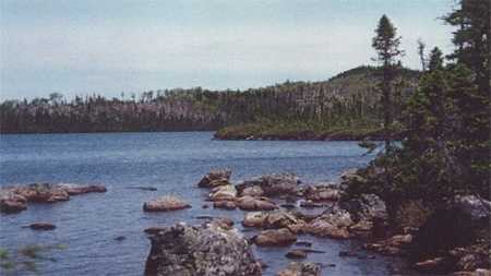 Survey Area 2, View NNW Across the Pond from the South Shore