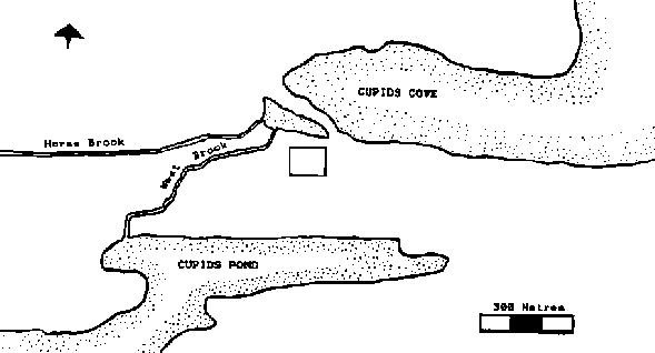 The survey area after the low ground to the west had been eliminated.