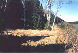 Level Grassy Area Adjacent to Riverbank.