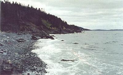 Shoreline at Admiral's Beach. Looking Southeast