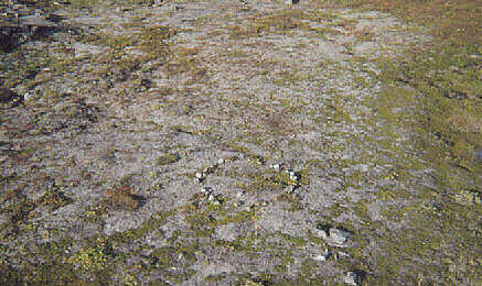 Tent Ring; Aerial Northeast View