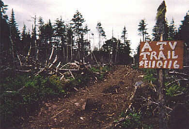 ATV Trail Leading from Forest Access Road to Little Gut Pond