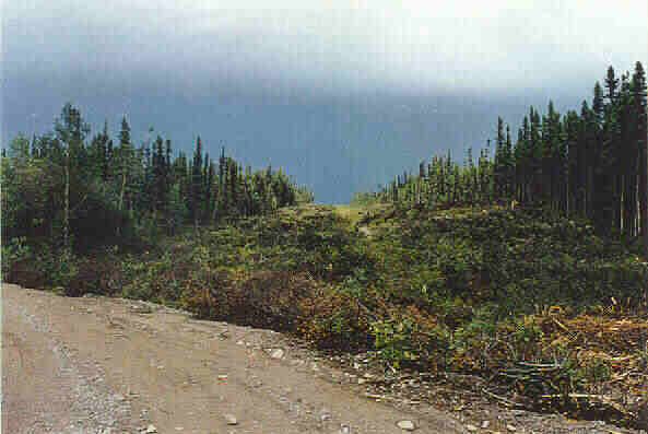 Road Diversion, Goose Bay to Lower Brook.