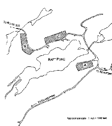 Raft Pond Designated Cottage Planning Areas.