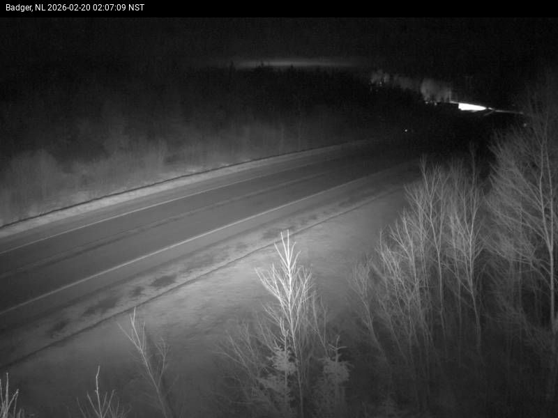 Badger Live Camera Image