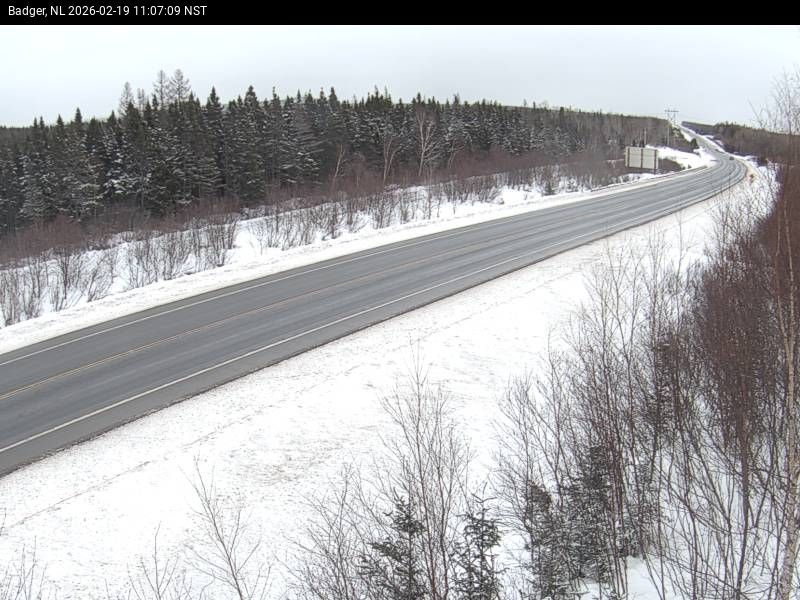 Badger Live Camera Image