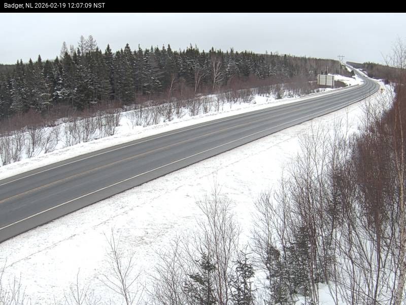 Badger Live Camera Image