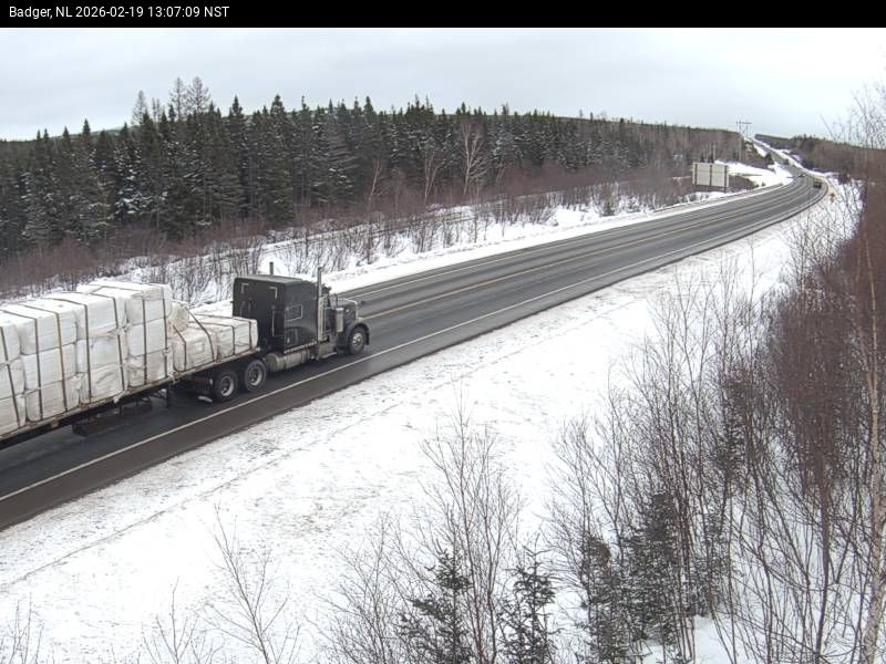 Badger Live Camera Image