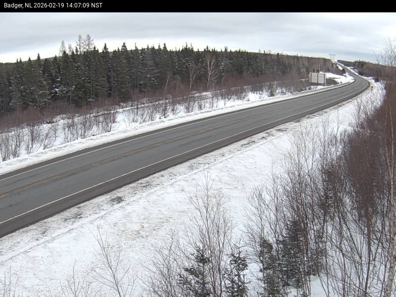 Badger Live Camera Image