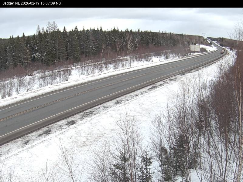 Badger Live Camera Image