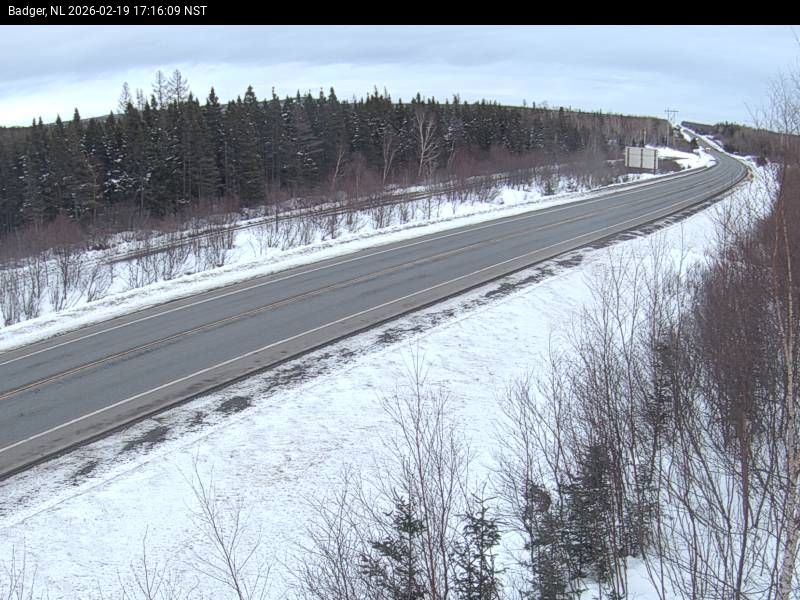 Badger Live Camera Image