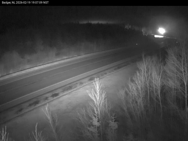 Badger Live Camera Image
