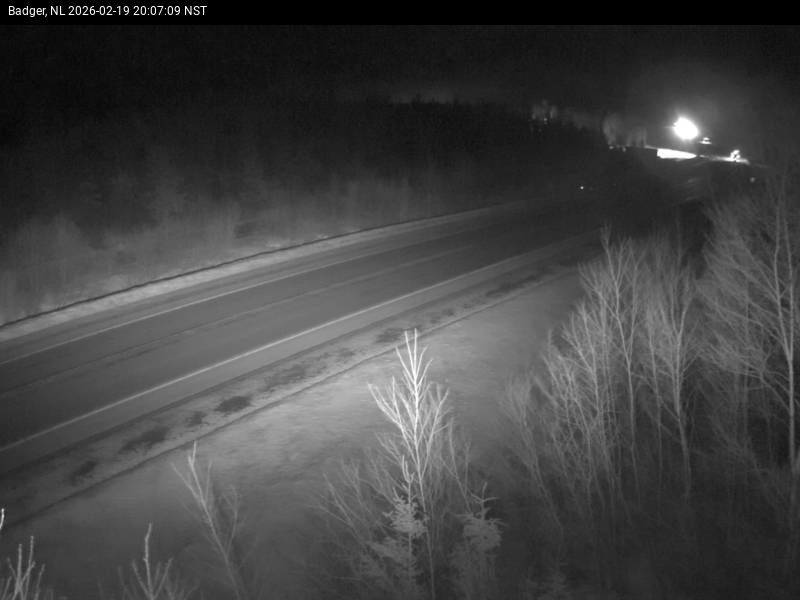 Badger Live Camera Image