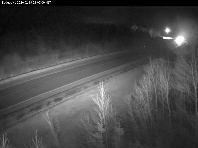 Badger Live Camera Image