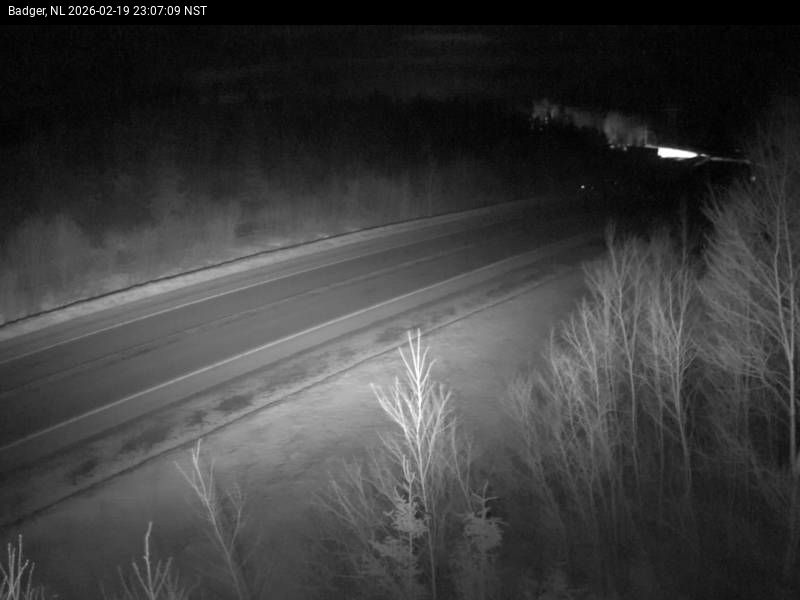 Badger Live Camera Image