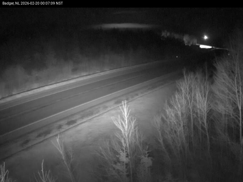Badger Live Camera Image