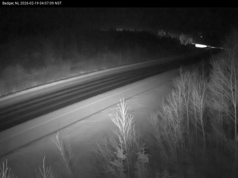 Badger Live Camera Image