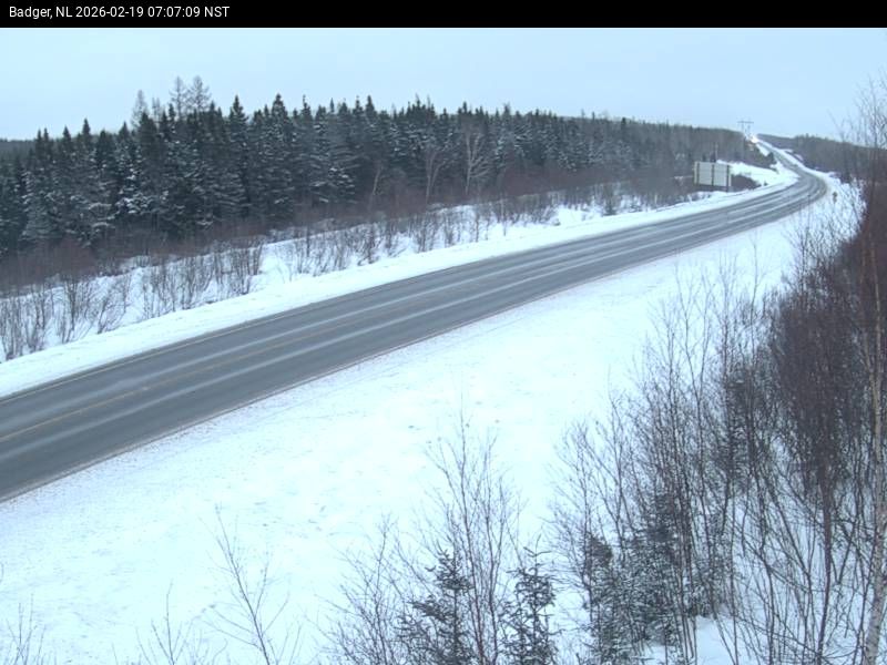 Badger Live Camera Image