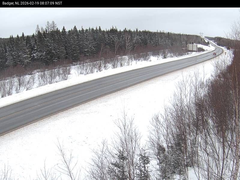 Badger Live Camera Image