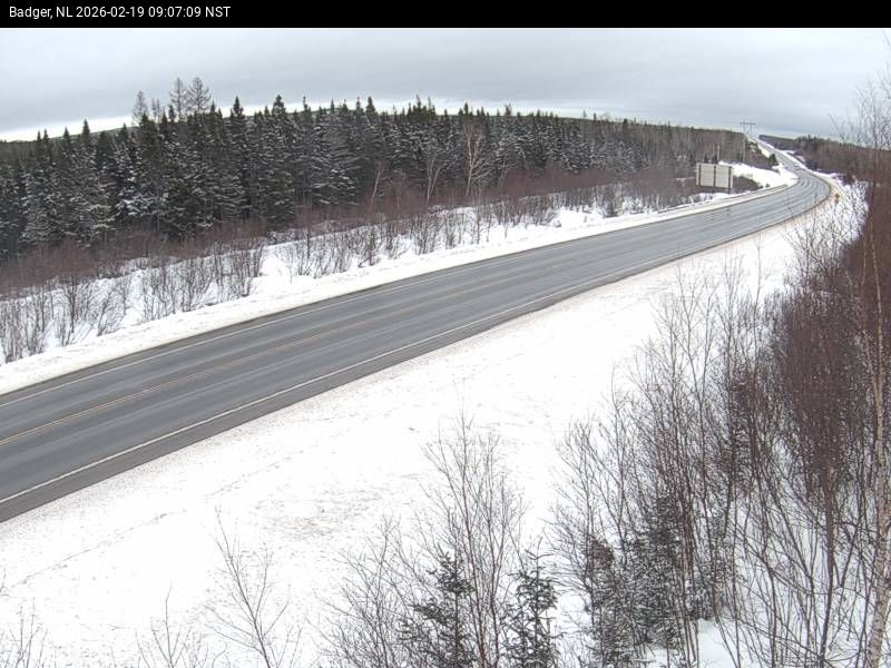 Badger Live Camera Image