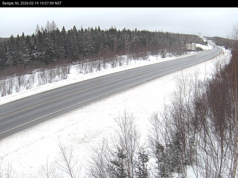 Badger Live Camera Image