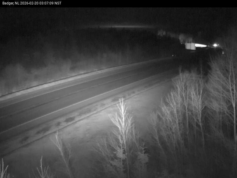 Badger Live Camera Image