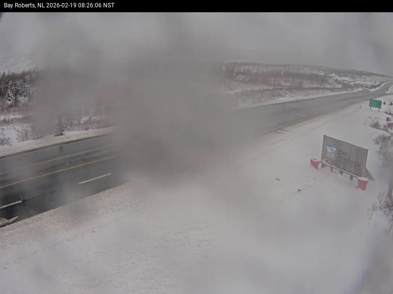 Bay Roberts Live Camera Image