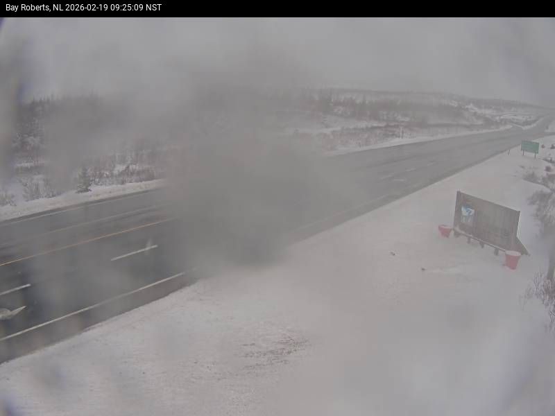 Bay Roberts Live Camera Image